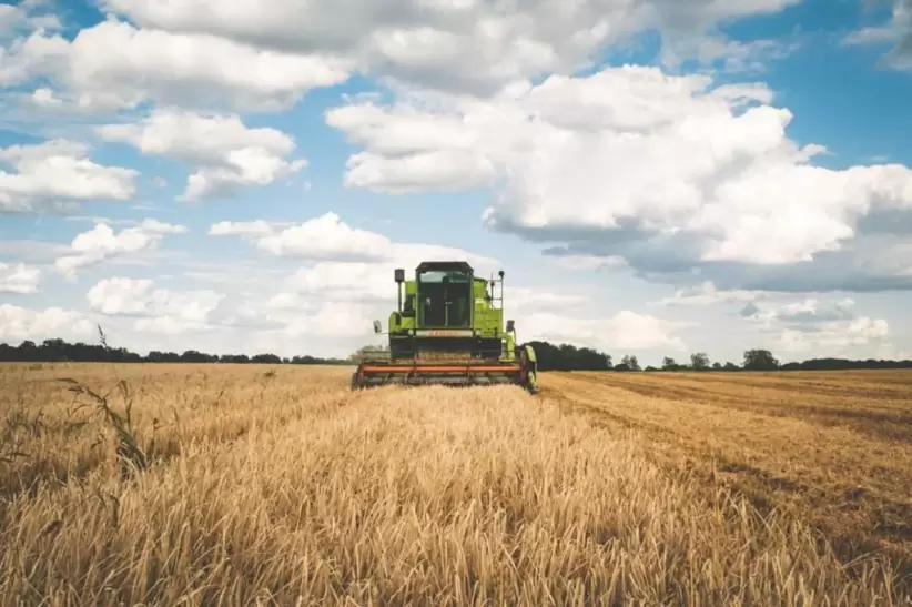Agro, Campo